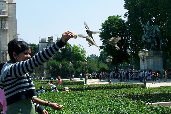 Feeding the birds